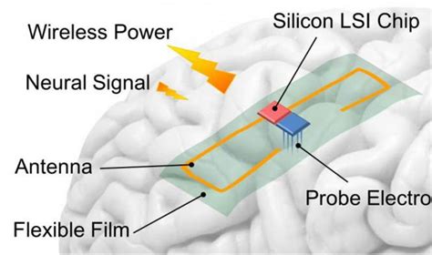 brainwave sensor with rfid|brain ai machine interface.